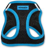 🐾 best pet supplies voyager step-in air dog harness - small and medium dogs - all-weather mesh vest harness with blue trim (size s) logo