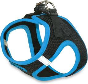 img 2 attached to 🐾 Best Pet Supplies Voyager Step-In Air Dog Harness - Small and Medium Dogs - All-Weather Mesh Vest Harness with Blue Trim (Size S)