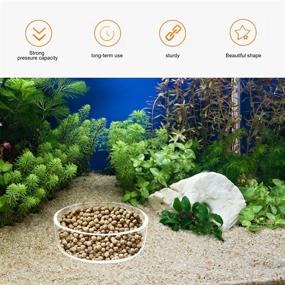 img 2 attached to 🐠 Glass Fish Feeding Bowl + Water Tray Set - 6 Pcs Clear Aquarium Shrimp Food Dish for Pet Feeding Cup