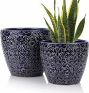 set of 2 blue ceramic plant pots with drainage hole for snake plants, orchid, succulent, cactus - 5.5 + 6.5 inch indoor flower pots for indoor and outdoor gardens by deecoo logo
