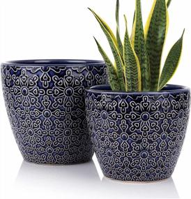 img 4 attached to Set Of 2 Blue Ceramic Plant Pots With Drainage Hole For Snake Plants, Orchid, Succulent, Cactus - 5.5 + 6.5 Inch Indoor Flower Pots For Indoor And Outdoor Gardens By DeeCoo