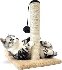 img 4 attached to 🐱 HeyKitten Dual Pole Cat Scratching Posts: Vertical and Spinning Horizontal Sisal Rope Wrapping, Dangling Plush Ball, Stylish and Cute - Perfect for Indoor Kittens