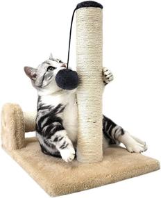 img 2 attached to 🐱 HeyKitten Dual Pole Cat Scratching Posts: Vertical and Spinning Horizontal Sisal Rope Wrapping, Dangling Plush Ball, Stylish and Cute - Perfect for Indoor Kittens