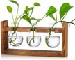 kingbuy plant propagation station: retro wooden stand, glass terrarium planter flower pot & 3 bulb vase for home decor! logo
