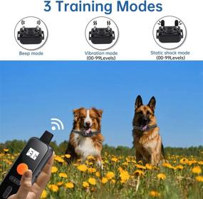 img 3 attached to 🐕 Saulcy 1000Ft Remote Dog Training Collar - Waterproof E Collar with 3 Modes: Shock, Vibration, Beep - Rechargeable Electric Collar for Small Medium Large Dogs