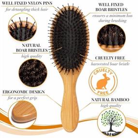 img 1 attached to Natural Hair And Skin Care Set: Dry Brushing Body Brush Set And Boar Bristle Hair Brush For Thick Hair. Unlock Radiant Shine And Revitalize Skin While Taming Hair Knots.