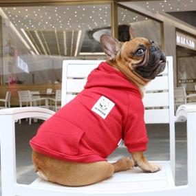 img 1 attached to 🐶 Warm and Stylish iChoue Dog Clothes: Hoodie Hooded Full-Zip Sweatshirt