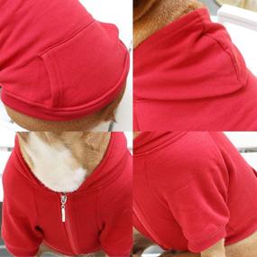 img 2 attached to 🐶 Warm and Stylish iChoue Dog Clothes: Hoodie Hooded Full-Zip Sweatshirt