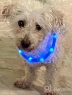 img 1 attached to USB Rechargeable LED Dog Collar For Night Safety - Joytale Light Up Collar In Blue - Glows In The Dark, Ideal For Small, Medium, And Large Dogs review by Mike Zeigler