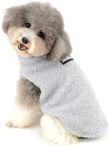 img 4 attached to 🐶 Ranphy Sherpa Fleece Small Dog Clothes: Warm Winter Puppy Cat Coat for Chihuahuas and Yorkshire Terriers - Cute Halloween & Christmas Costume Clothing