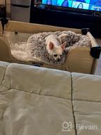 картинка 1 прикреплена к отзыву Дизайн-лежак Lion's Den Petique Bedside Lounge Bunk Bed для среднего размера собак и кошек: поднятый лежак для максимального комфорта. от Carlito Tardy