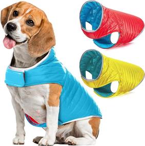 img 4 attached to Reversible Reflective Clothes Weather Lightweight Dogs
