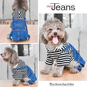 img 3 attached to 👖 Pet Denim Dog Jeans Jumpsuit: Classic Jacket for Small-Medium Dogs & Cats, Vintage Washed Blue - Companet Pet Clothes