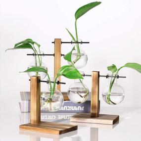 img 3 attached to Desktop Glass Planter With Wooden Stand For Hydroponics, Propagation, And Office Decor - Perfect For Water Plants And Home Garden - Retro Bulb Vase Design