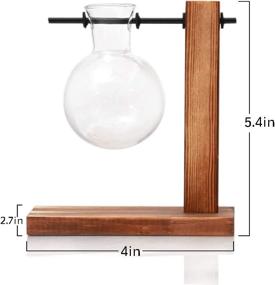 img 2 attached to Desktop Glass Planter With Wooden Stand For Hydroponics, Propagation, And Office Decor - Perfect For Water Plants And Home Garden - Retro Bulb Vase Design