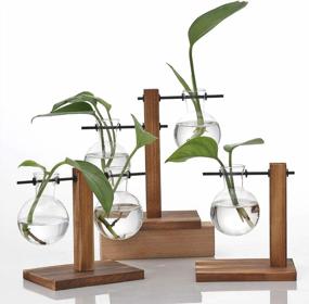 img 1 attached to Desktop Glass Planter With Wooden Stand For Hydroponics, Propagation, And Office Decor - Perfect For Water Plants And Home Garden - Retro Bulb Vase Design
