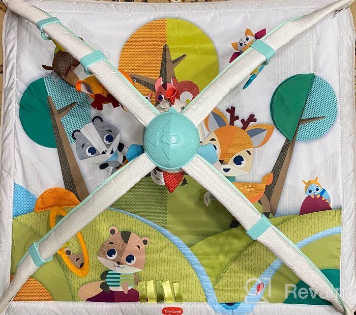 img 1 attached to 🧚 Fairy Forest Developmental Mat: Tiny Love's Interactive Sensory Toy - 1205106830 review by Anastazja Kubicka ᠌