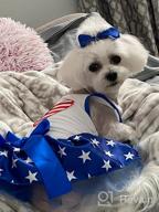картинка 1 прикреплена к отзыву Petitebella USA Heart Puppy Dog Dress Black Stripes Medium от Daniel King