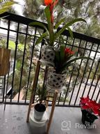 img 1 attached to Breathe Easier With The Wisuce Bamboo Indoor 2 Tier Plant Stand - Perfect For Multiple Plants And Window Displays! review by Mark Vazquez