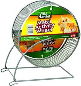 img 4 attached to 🐹 Wild Harvest 7-Inch Metal Pet Activity Wheel: Ideal for Guinea Pigs, Hamsters, Gerbils, and Small Animals