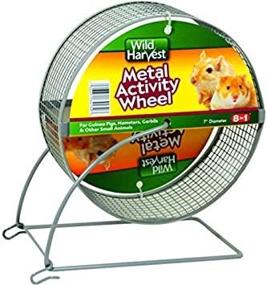 img 1 attached to 🐹 Wild Harvest 7-Inch Metal Pet Activity Wheel: Ideal for Guinea Pigs, Hamsters, Gerbils, and Small Animals