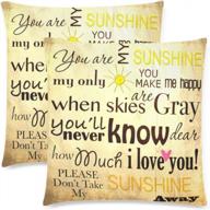 2 pack you are my sunshine word pillowcase covers - vintage summer decor throw cushion cases 18x18 twin sides zippered shams decorative | interestprint logo