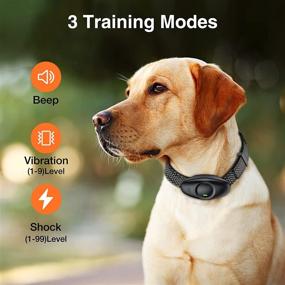 img 3 attached to 🐶 JSCLYAN Waterproof Dog Training Collar: Rechargeable Shock Collar for Medium & Large Dogs, 1600ft Range - Beep, Vibration, Shock Modes - Keypad Lock, Support for Training 3 Dogs