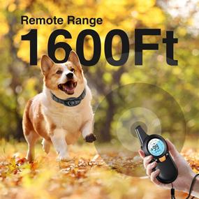 img 1 attached to 🐶 JSCLYAN Waterproof Dog Training Collar: Rechargeable Shock Collar for Medium & Large Dogs, 1600ft Range - Beep, Vibration, Shock Modes - Keypad Lock, Support for Training 3 Dogs