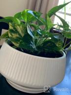 img 1 attached to POTEY 8.8 Inch Large Ceramic Plant Pots With Drainage Holes And Plugs For Indoor & Outdoor House Plants Such As Christmas Cactus, Scindapsus Aureum, And Ivy Vine - 805 Black review by Bill Garczynski