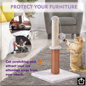 img 2 attached to Enhance Your Cat's Playtime with the Homagico Cat Scratching Post: Tall, Interactive, and Massage-Ready!