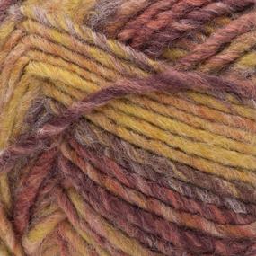 img 1 attached to 2 Pack Of Bernat Symphony Autumn Maple Yarn - 225G/8Oz - Nylon - 5 Bulky - 309 Yards - Perfect For Knitting And Crochet Projects