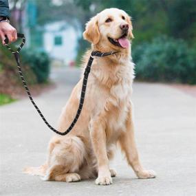 img 3 attached to UEETEK Dog Slip Collar Choke Leash: Reflective P-Leash for Training, Running, Walking & Hiking