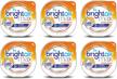 bright air eliminator freshener white cleaning supplies logo