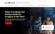 img 1 attached to Bizzuka, Inc. review by Hector Watkins