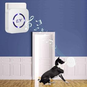 img 3 attached to EverNary Dog Door Bell Wireless Doggie Doorbells For Potty Training With Warterproof Touch Button Dog Bells Included Receiver And Transmitters (1 Receiver + 1 Transmitters (W))