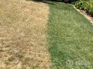 img 1 attached to Revitalize Your Lawn With Endurant Green Grass Paint – Eco-Friendly And Pet-Safe Solution For Dry Or Patchy Lawn review by Jennifer Christensen