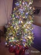 картинка 1 прикреплена к отзыву BrizLabs 360 LED Christmas Net Lights с пультом дистанционного управления - многоцветные сетчатые светильники для внутренних и наружных украшений от Lee Rodriguez