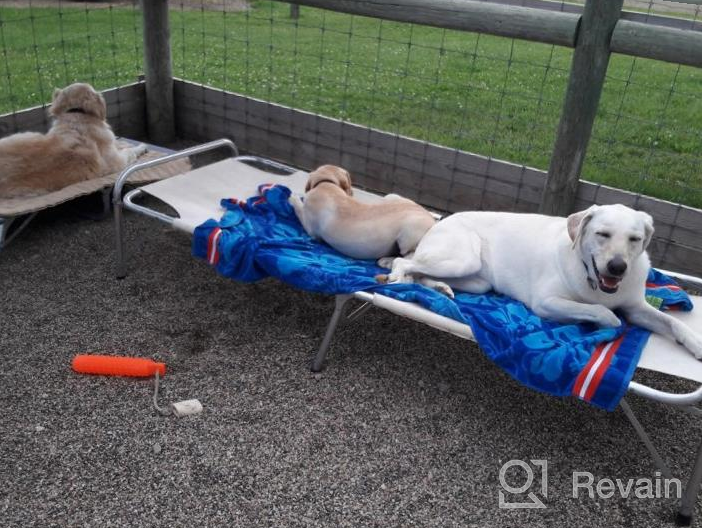 img 1 attached to Foldable Elevated Pet Cot With Steel Frame - Durable And Lightweight Portable Bed For Dogs And Cats To Play, Rest, And Relax Anywhere review by Joseph Elvis