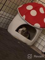 картинка 1 прикреплена к отзыву Cozy Blue Mushroom Mini House For Small Pets: Hollypet Warm Bed For Hamsters, Hedgehogs, Rats, And Guinea Pigs от Richard Cummings
