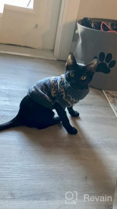 img 1 attached to Cozy Winter Knit Sweater For Cats And Small Dogs - Soft, High-Stretch Pet Clothes By Evursua review by David Padilla