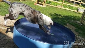 img 8 attached to Складной бассейн для домашних животных для собак, кошек и детей - 32 дюйма в диаметре и 8 дюймов в высоту - складная ванна для купания собак Jasonwell синего цвета