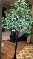 img 1 attached to Bring Elegant Ambiance To Any Space With Lightshare'S 5FT Lighted Eucalyptus Tree: Ideal For Weddings, Holidays, Parties & More! review by Ebony Artis
