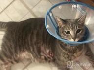 img 1 attached to Adjustable Lightweight Pet Cone Collar For Cats And Small Dogs | Vivifying Elizabethan Recovery Cone In Pink | 3 Sizes Available review by Nancy Marie