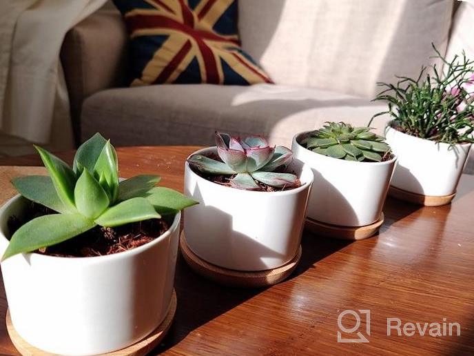 img 1 attached to Add A Touch Of Elegance To Your Garden With ZOUTOG Succulent Plant Pots - Set Of 4 Water Pattern Ceramic Pots With Bamboo Tray! review by Jermaine Rhodes