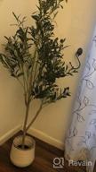 img 1 attached to Add A Touch Of Nature With VIAGDO'S 4.6Ft Artificial Olive Tree - Perfect For Modern Home Decor! review by Cliff Gibs