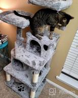 img 1 attached to 🐱 Ultimate Cat Playground: BEWISHOME Cat Tree with Scratching Posts, Condos, Perches, Balls, Hammock – Brown MMJ01Z review by Jay Chenier