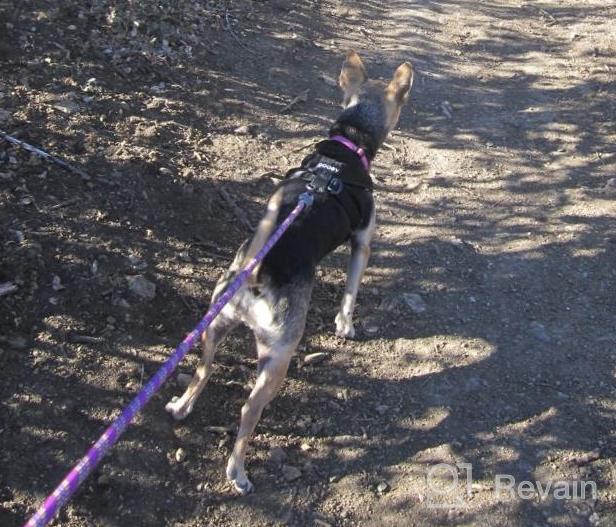 img 1 attached to Gooby Comfort X Head In Harness - Blue, Medium - No Pull Small Dog Harness, Patented Choke-Free X Frame - Perfect On The Go Dog Harness For Medium Dogs No Pull Or Small Dogs For Indoor And Outdoor Use review by Chad Fox