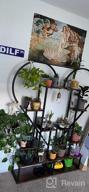 img 1 attached to 6 Tier Half Heart Metal Plant Stand - Perfect For Home Garden & Patio Decor! review by Phillip Ellis
