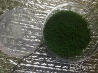 img 1 attached to Live Freshwater Aquarium Plants: Dwarf Baby Tears, Hemianthus Callitrichoides, Java Moss In Vitro TC Cup By Greenpro review by Matt Tebow