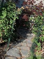 img 1 attached to Copper Versaille Arch For Stunning Garden Décor: Gardman 8241 review by Nicholas Reggae